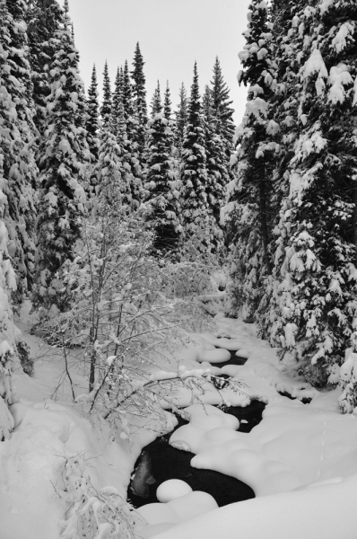 Winter-Creek